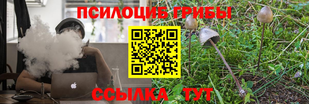 Белгород  Галлюциногенные грибы прущие грибы  Вход с VPN 
